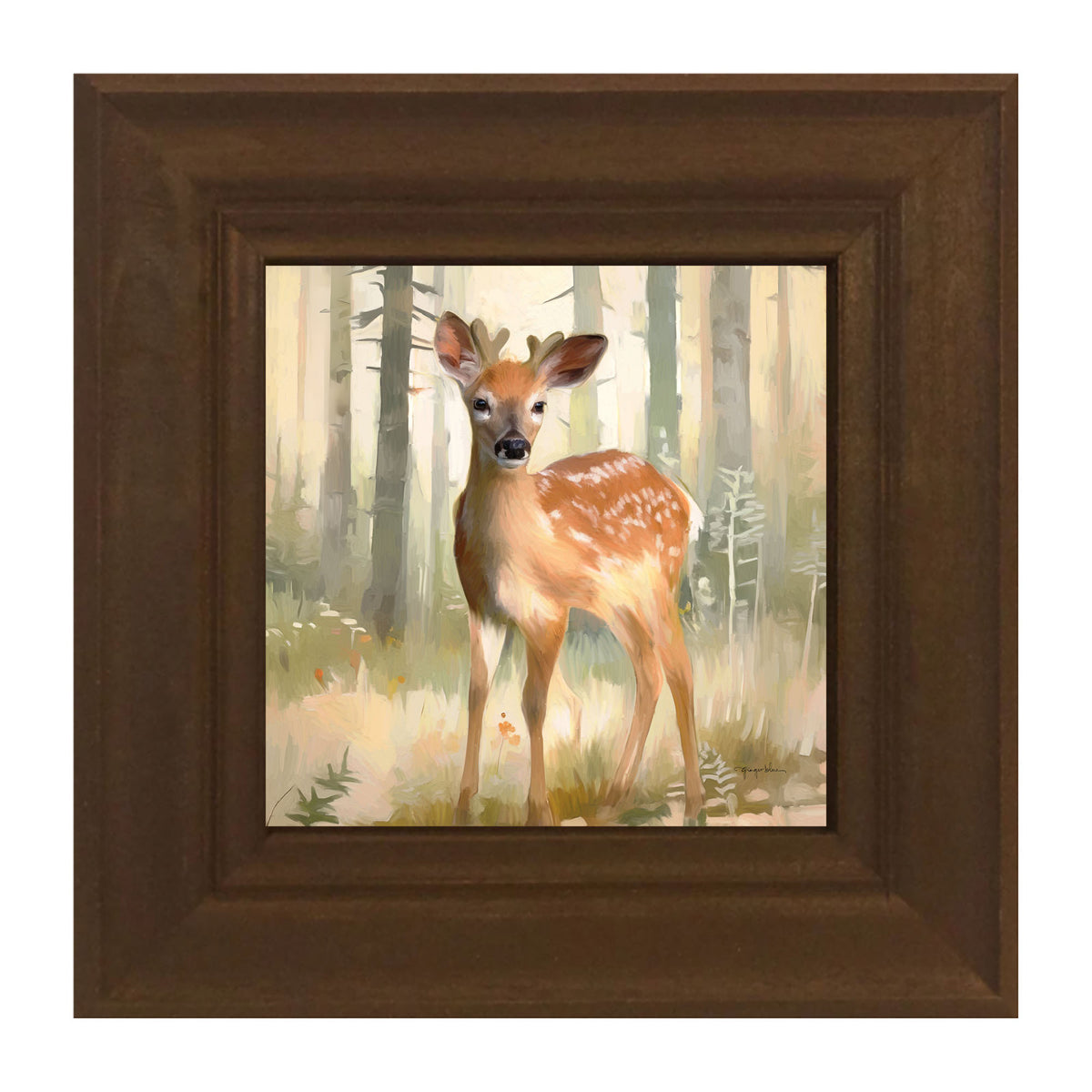 Forest Deer