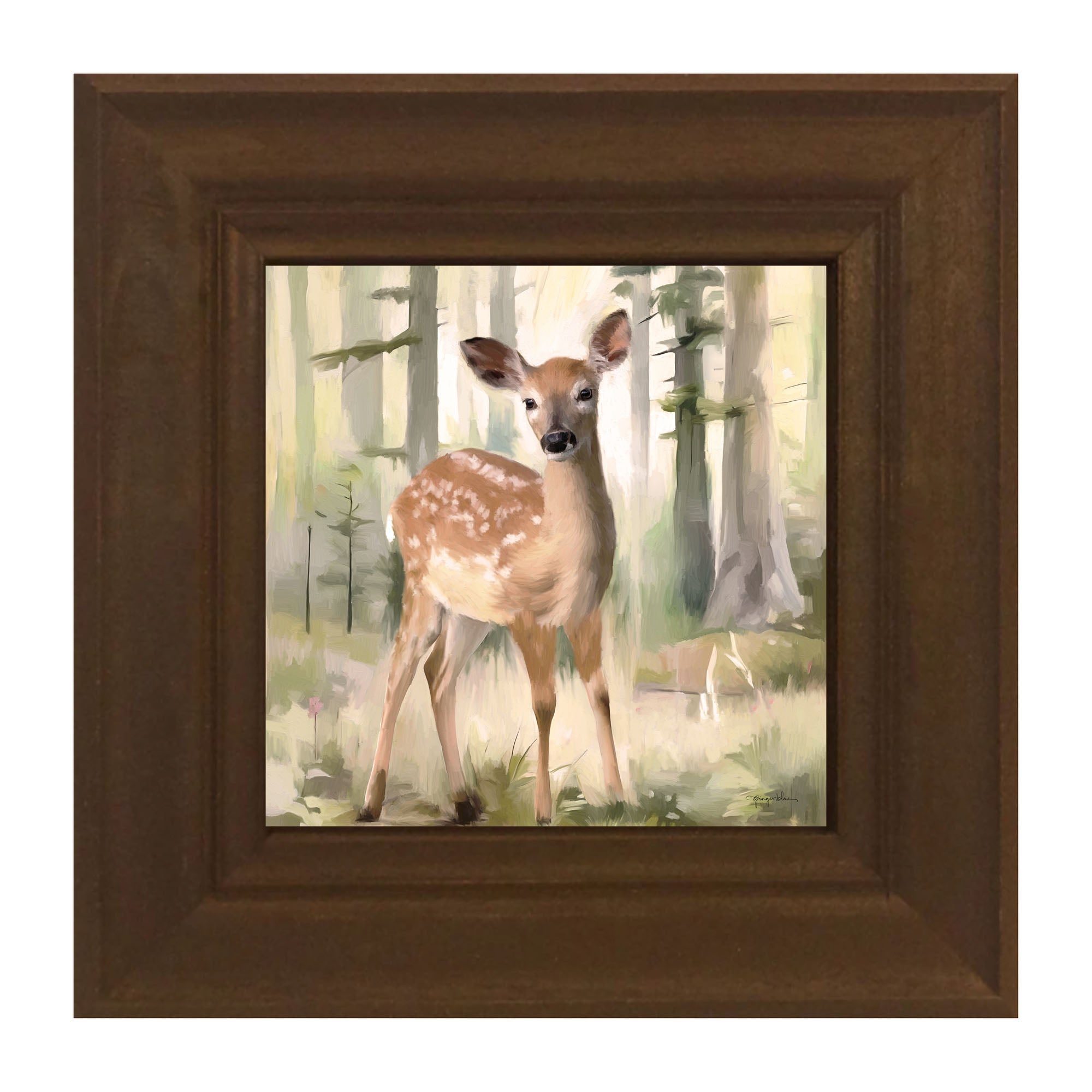 Deer in a Forest