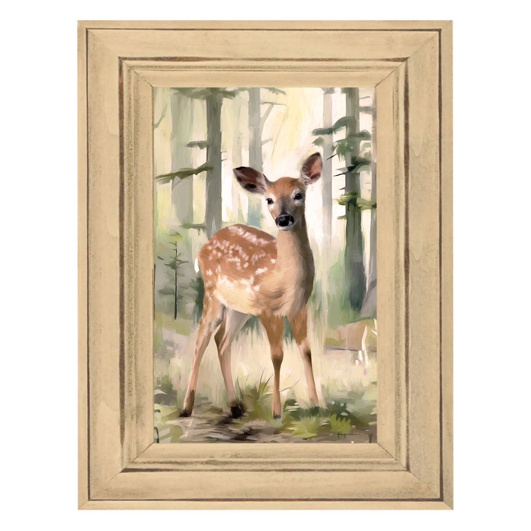 Deer in a Forest