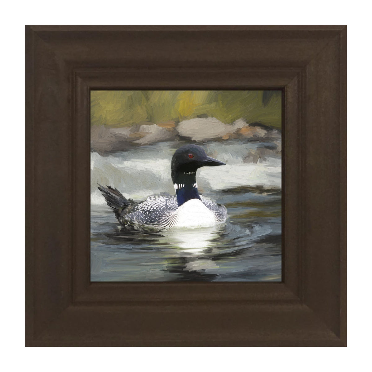 Loon in the Water