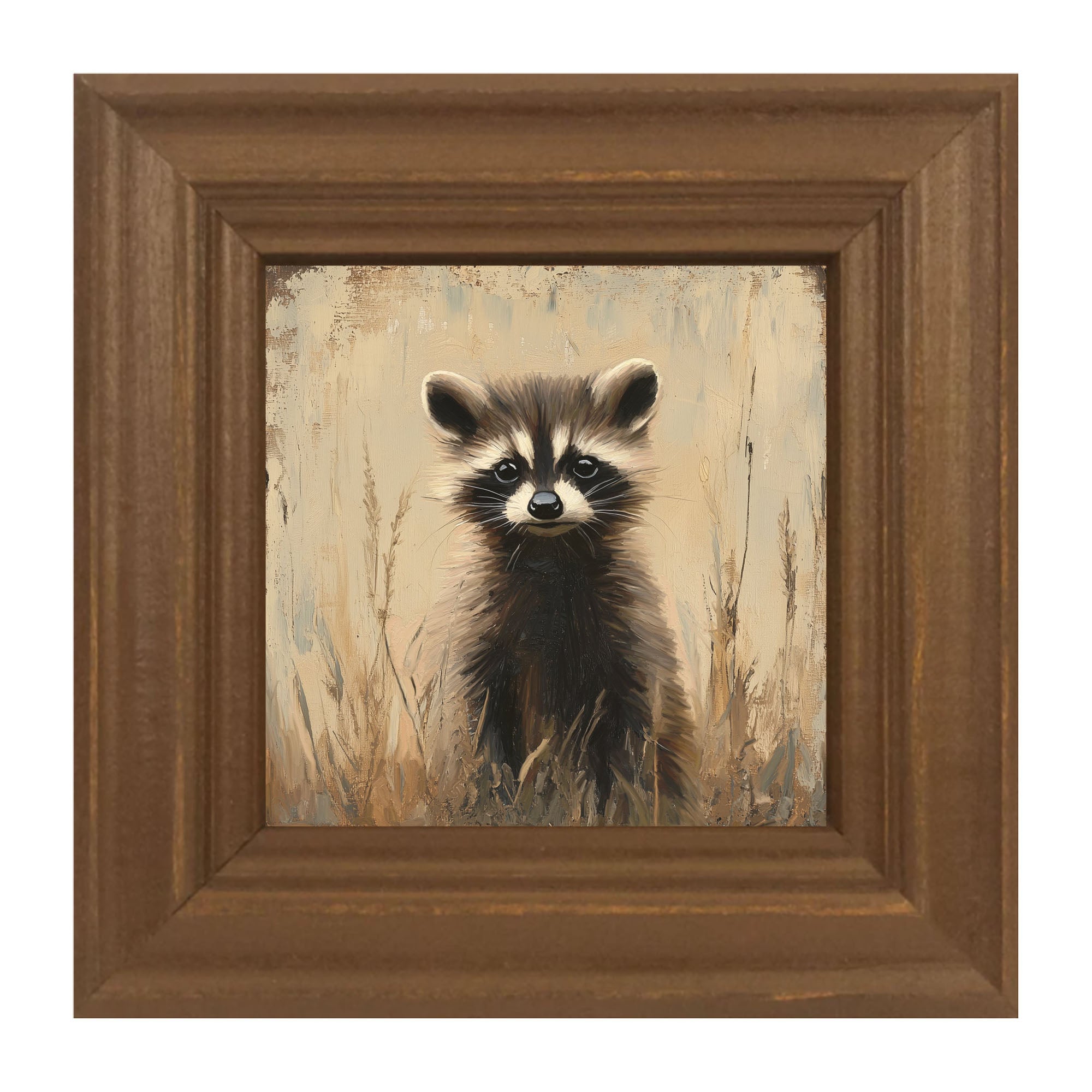 Baby Raccoon