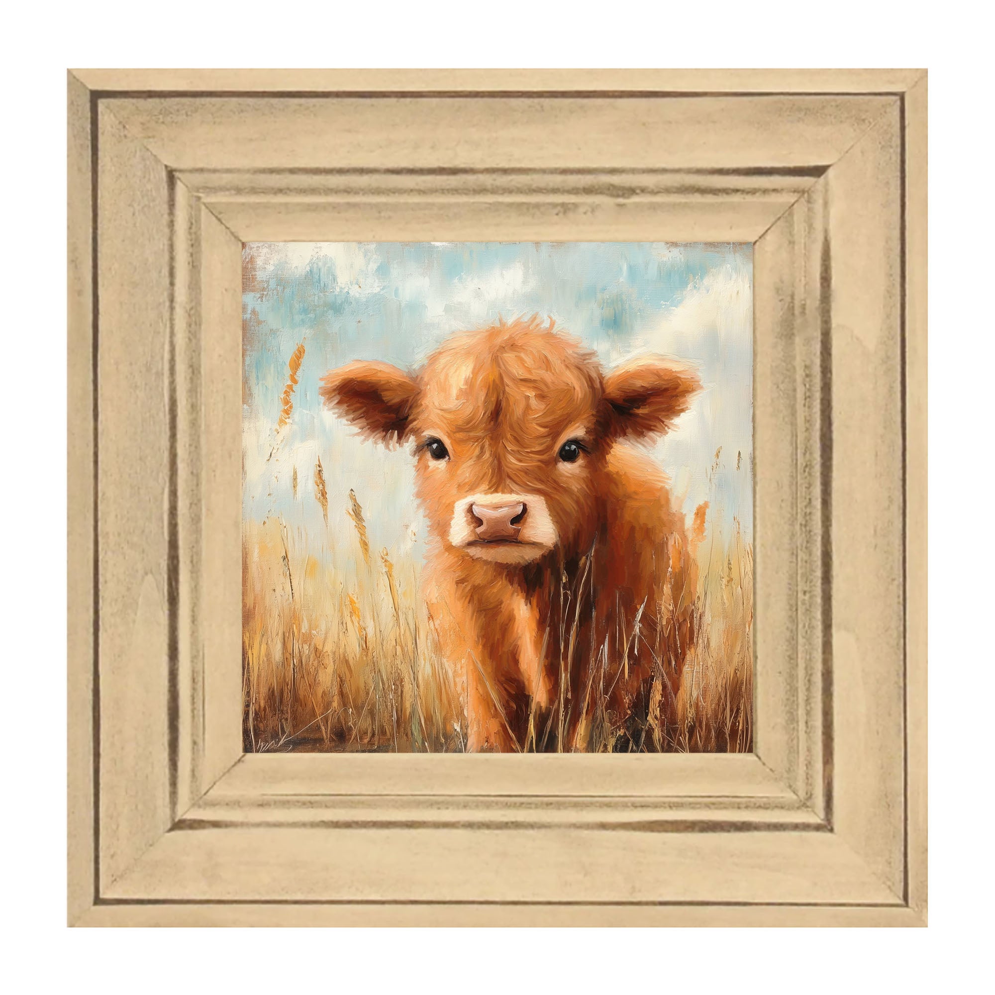 Baby Highland Cow