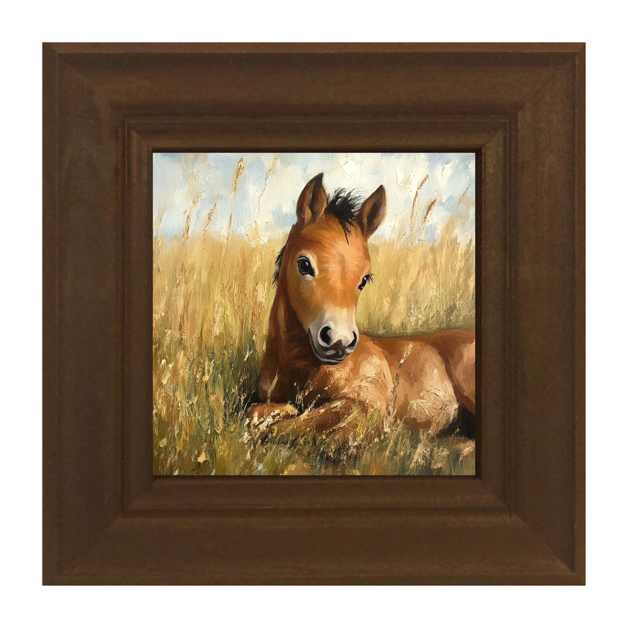 Baby Foal in a Meadow