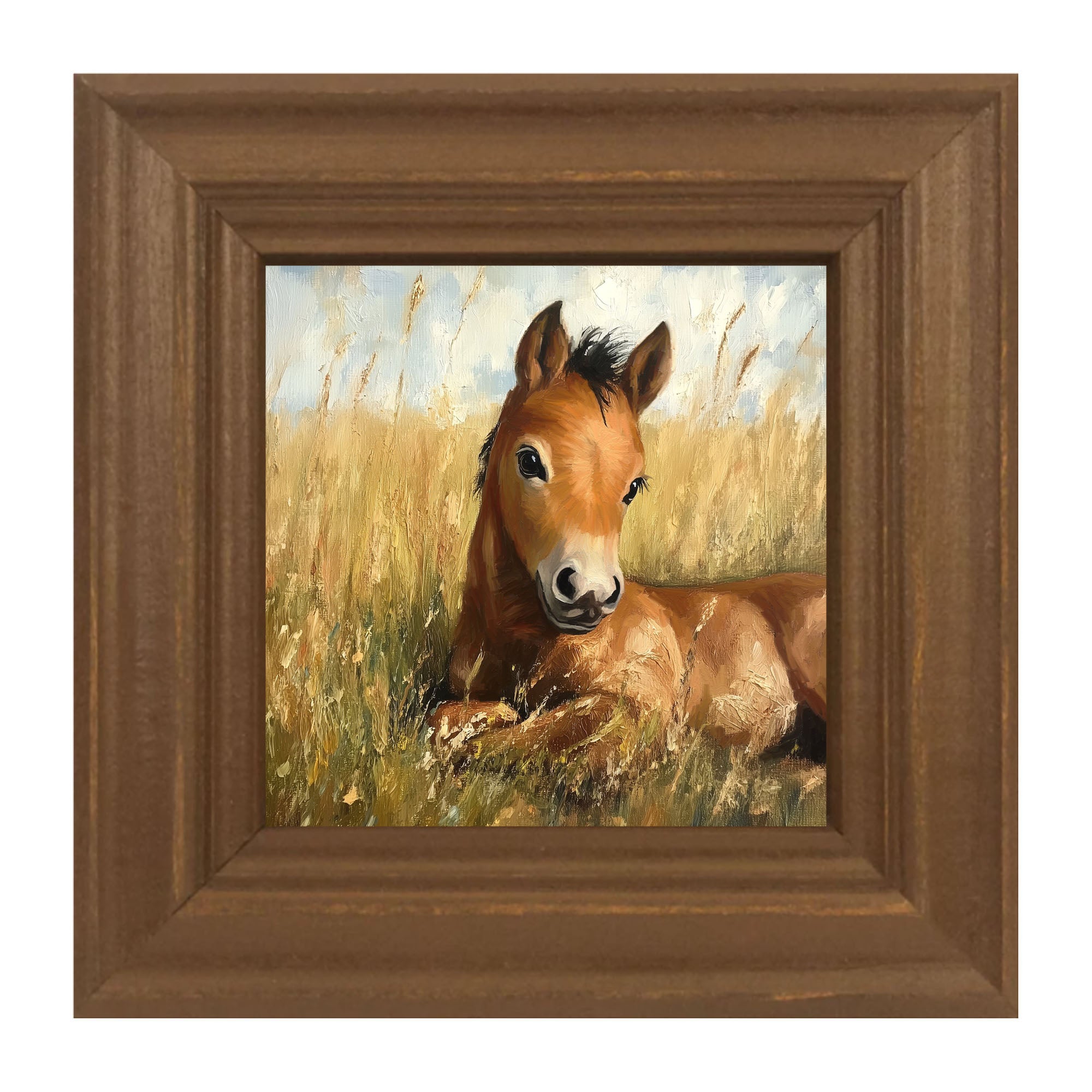 Baby Foal in a Meadow