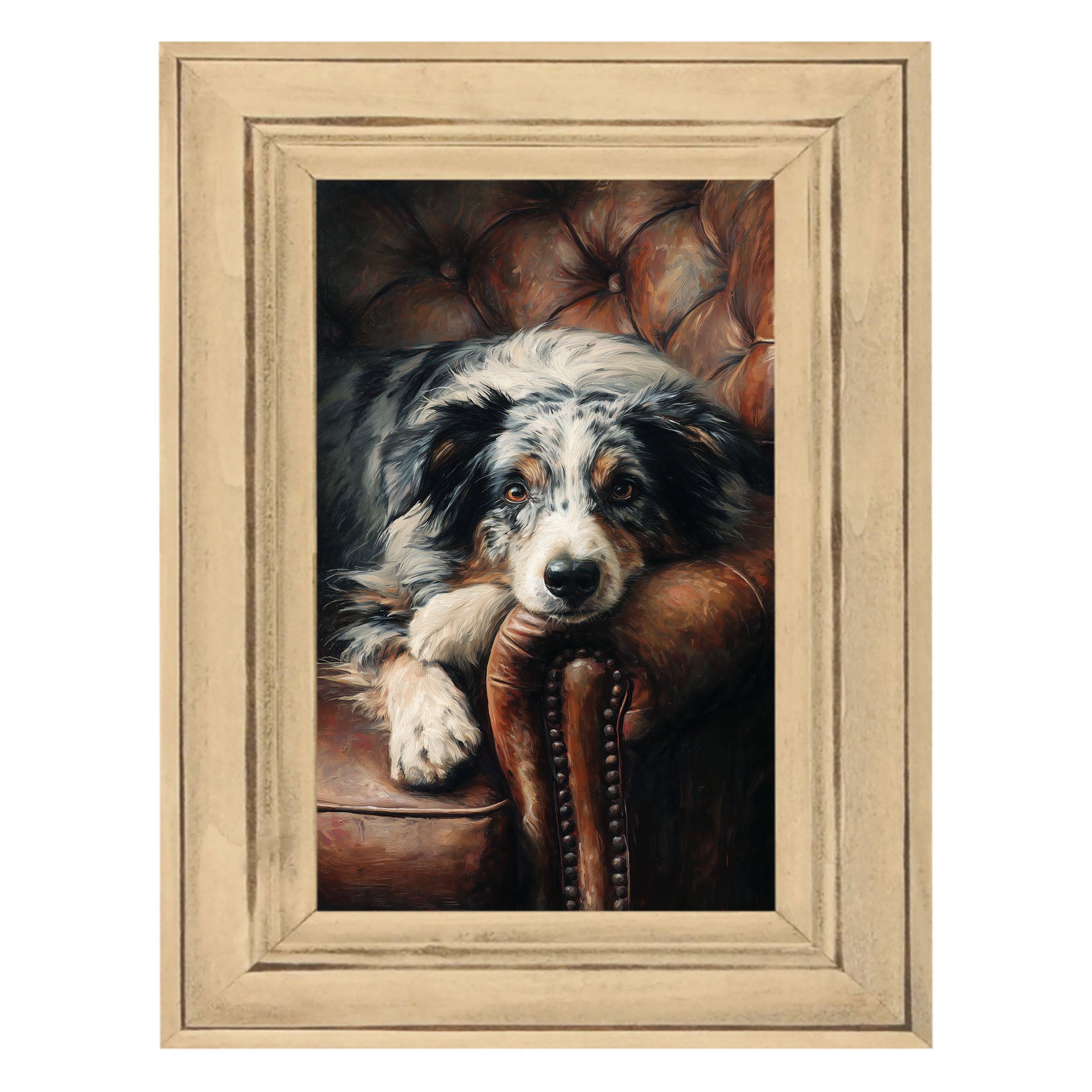 Armchair with Australian Shephard Dog