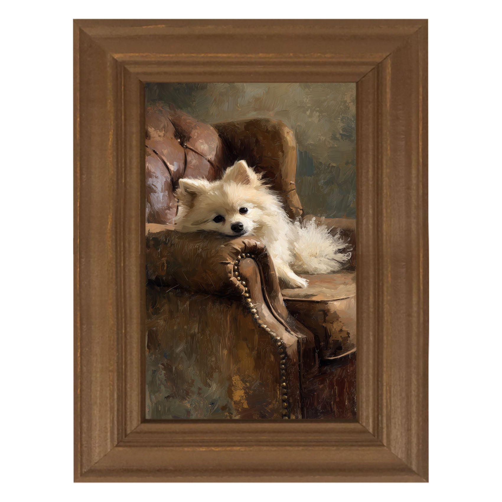 Armchair with Pomeranian Dog