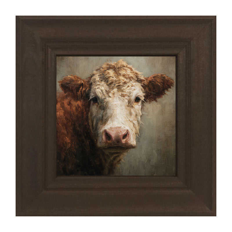 Farm Life Portrait - Brown and White Cow Close-up