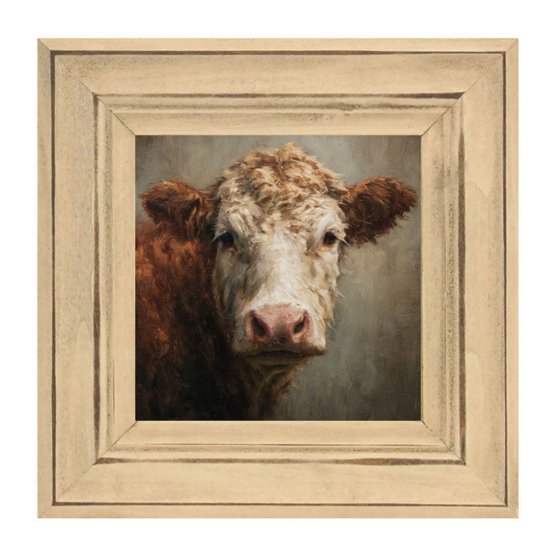 Farm Life Portrait - Brown and White Cow Close-up