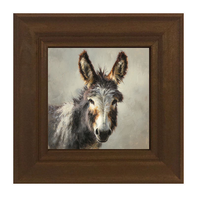 Farm Life Portrait - Donkey Close-up