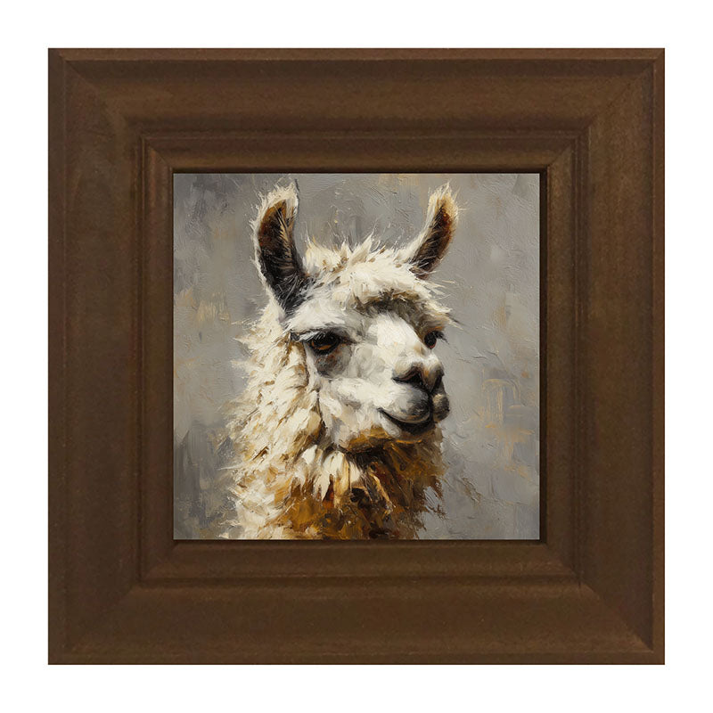 Farm Life Portrait - Llama Close-up