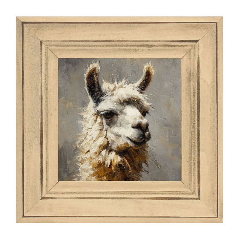 Farm Life Portrait - Llama Close-up