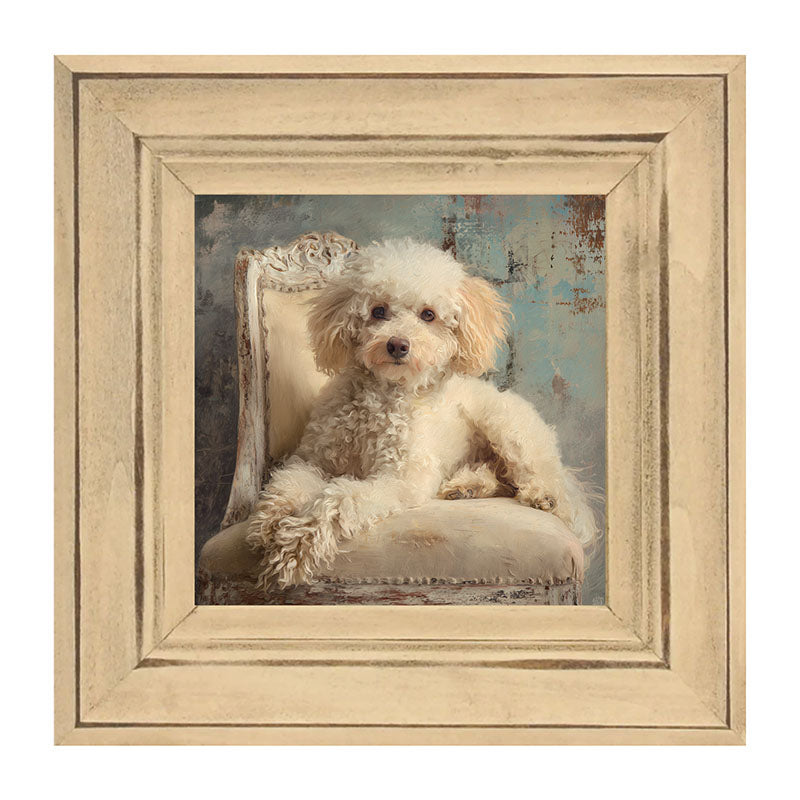 Armchair with Toy Poodle Dog