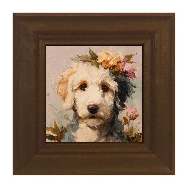 Spring Season White Labradoodle