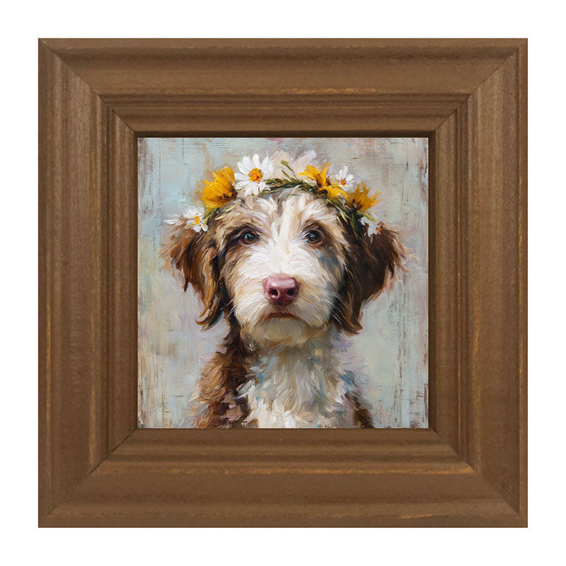 Spring Season Brown and White Labradoodle