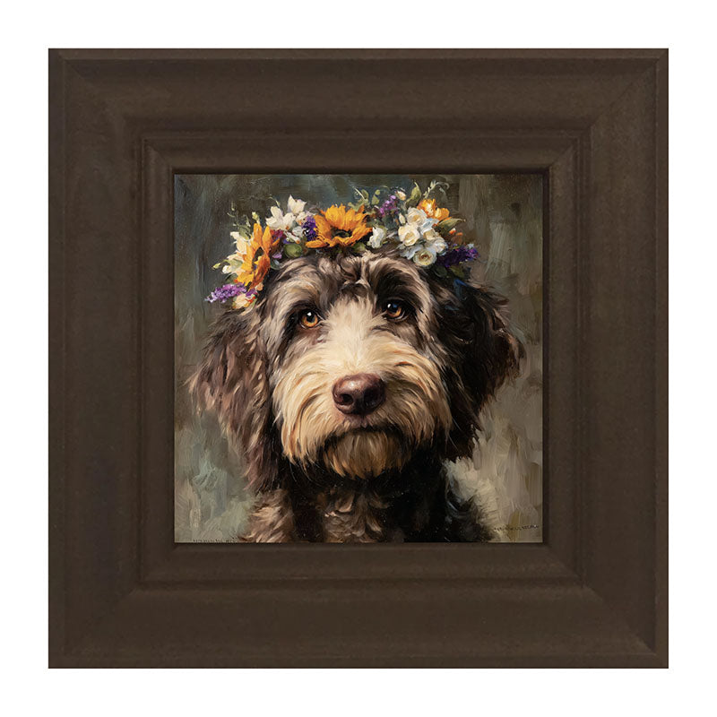Spring Season Black Labradoodle