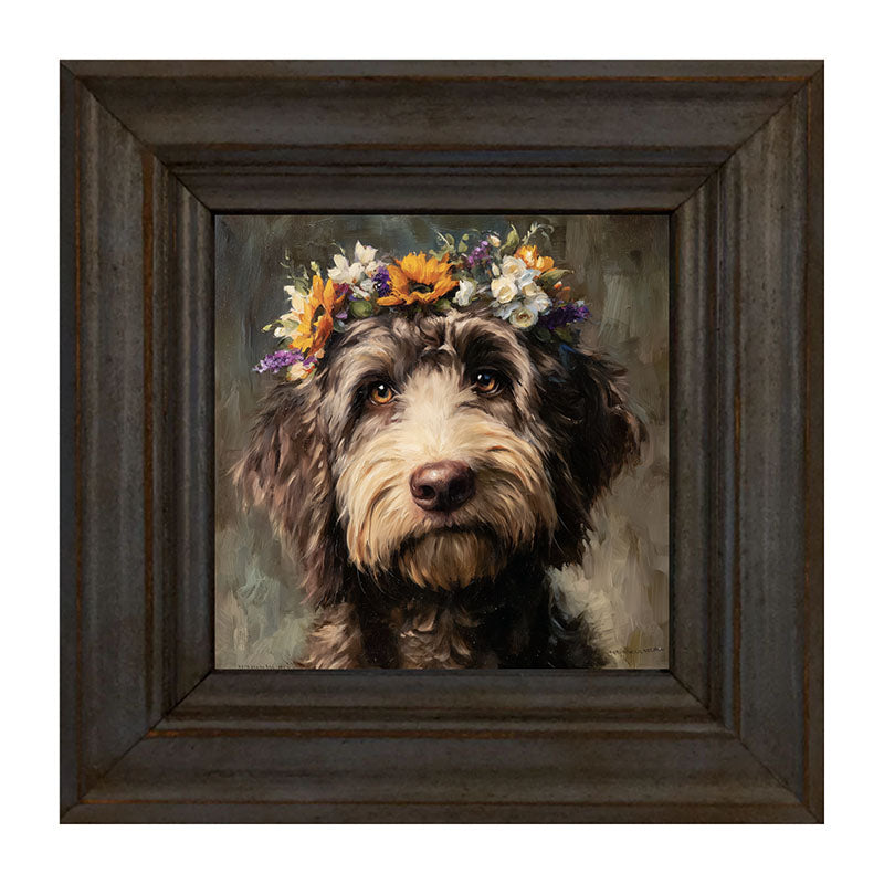 Spring Season Black Labradoodle