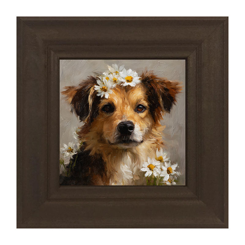 Spring Season Tan Dog
