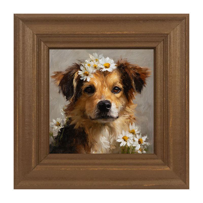 Spring Season Tan Dog
