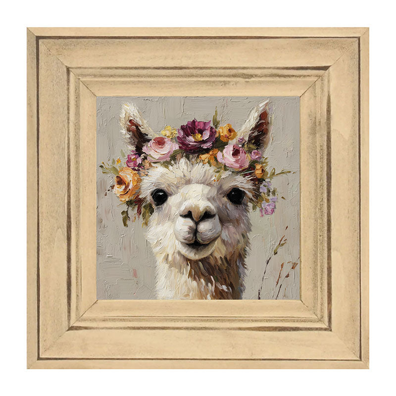 Spring Season Alpaca