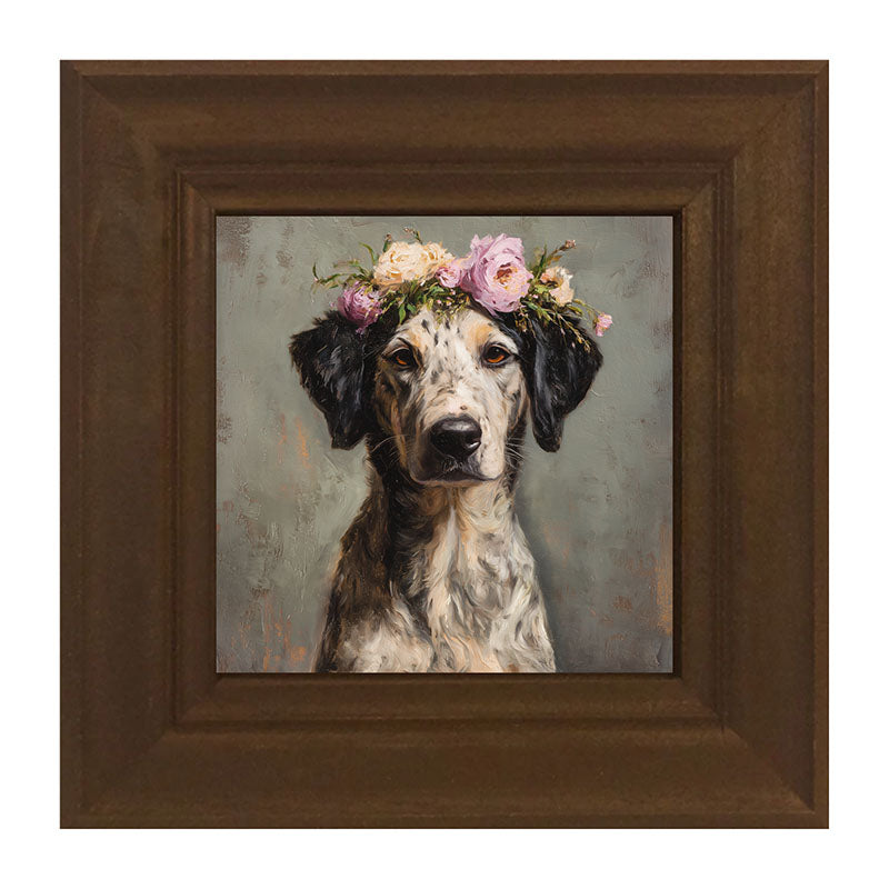 Spring Season Black-Eared Dog