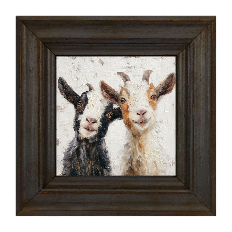 Animal Buddies - Posing Goats