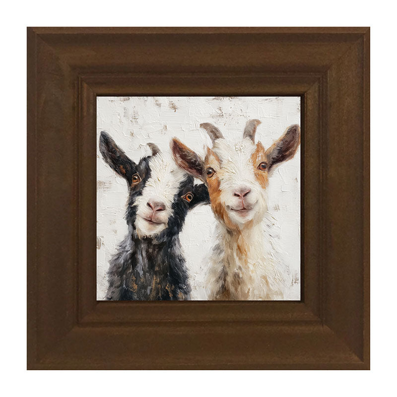 Animal Buddies - Posing Goats