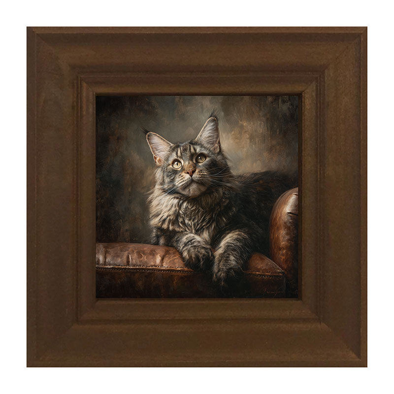 Armchair with Maine Coon Cat