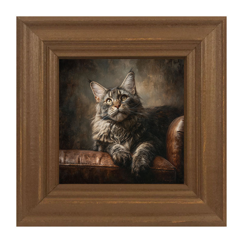 Armchair with Maine Coon Cat