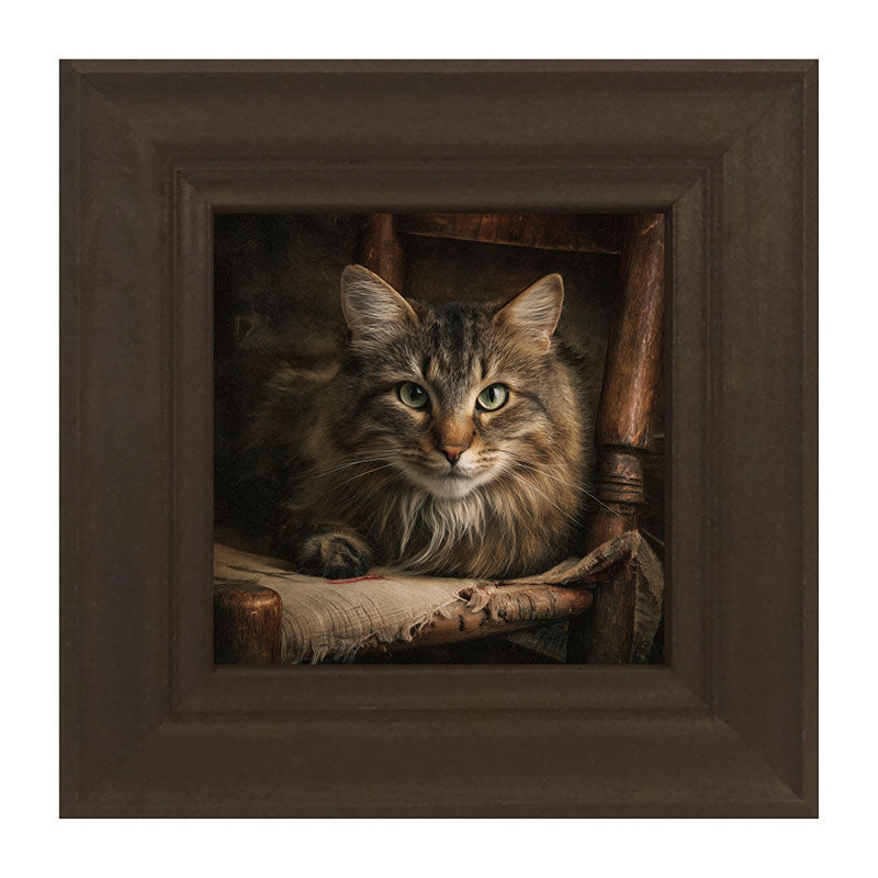Armchair with Norwegian Forest Cat