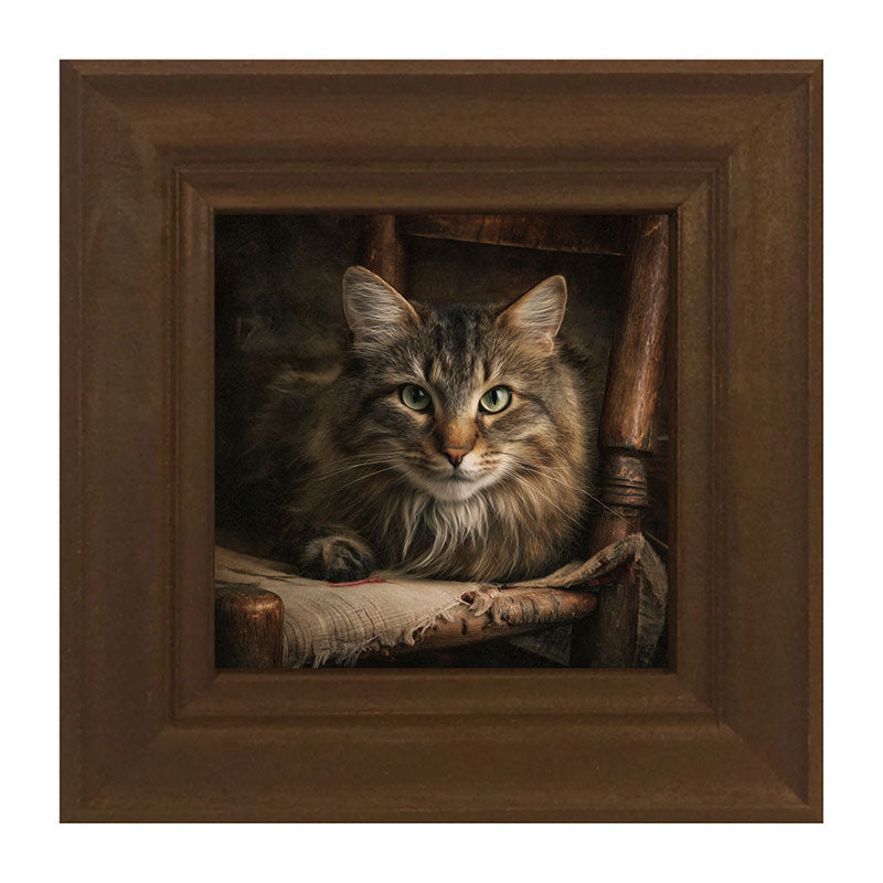 Armchair with Norwegian Forest Cat