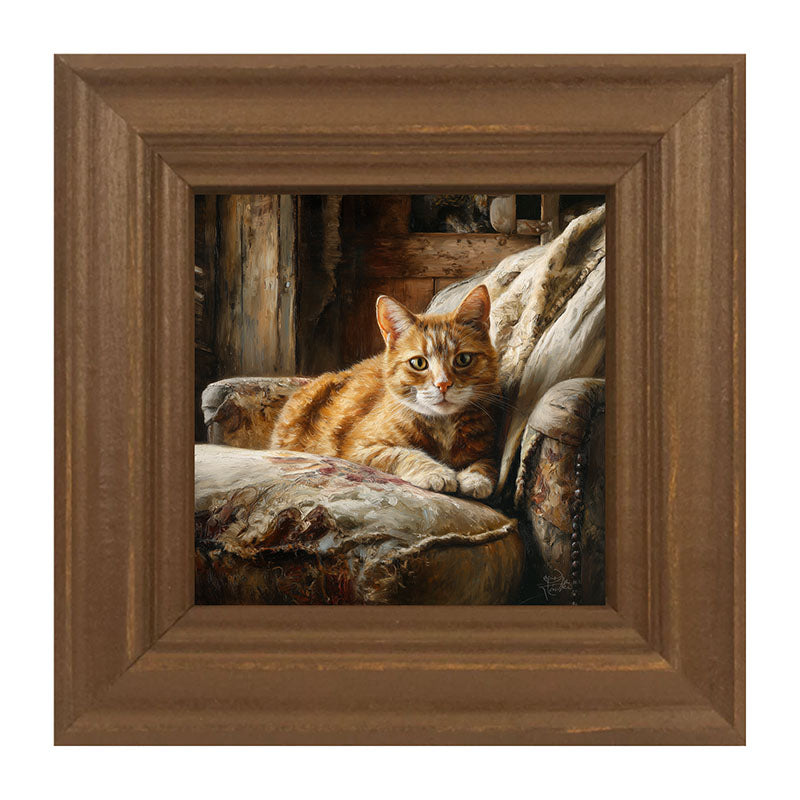 Armchair with Orange Tabby Cat