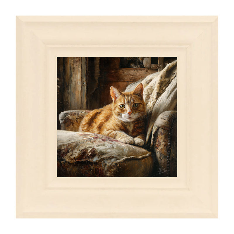 Armchair with Orange Tabby Cat