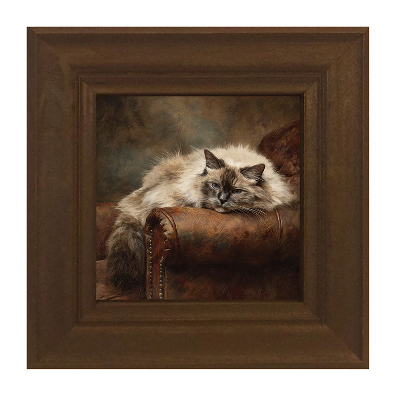 Armchair with Ragdoll Cat