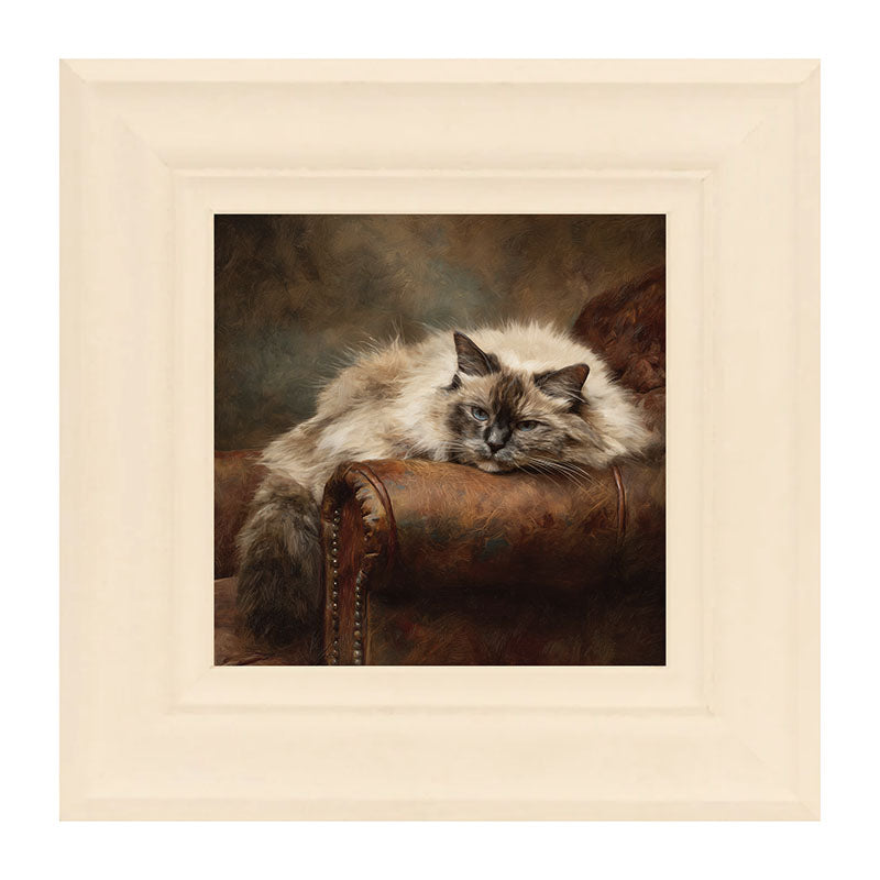 Armchair with Ragdoll Cat