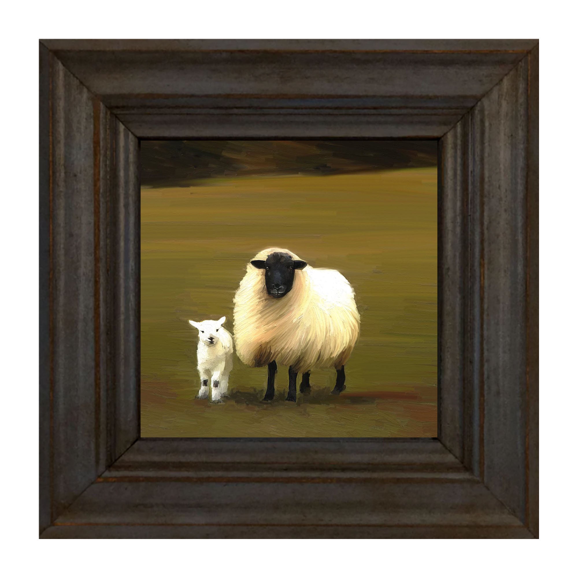 Black faced sheep and lamb