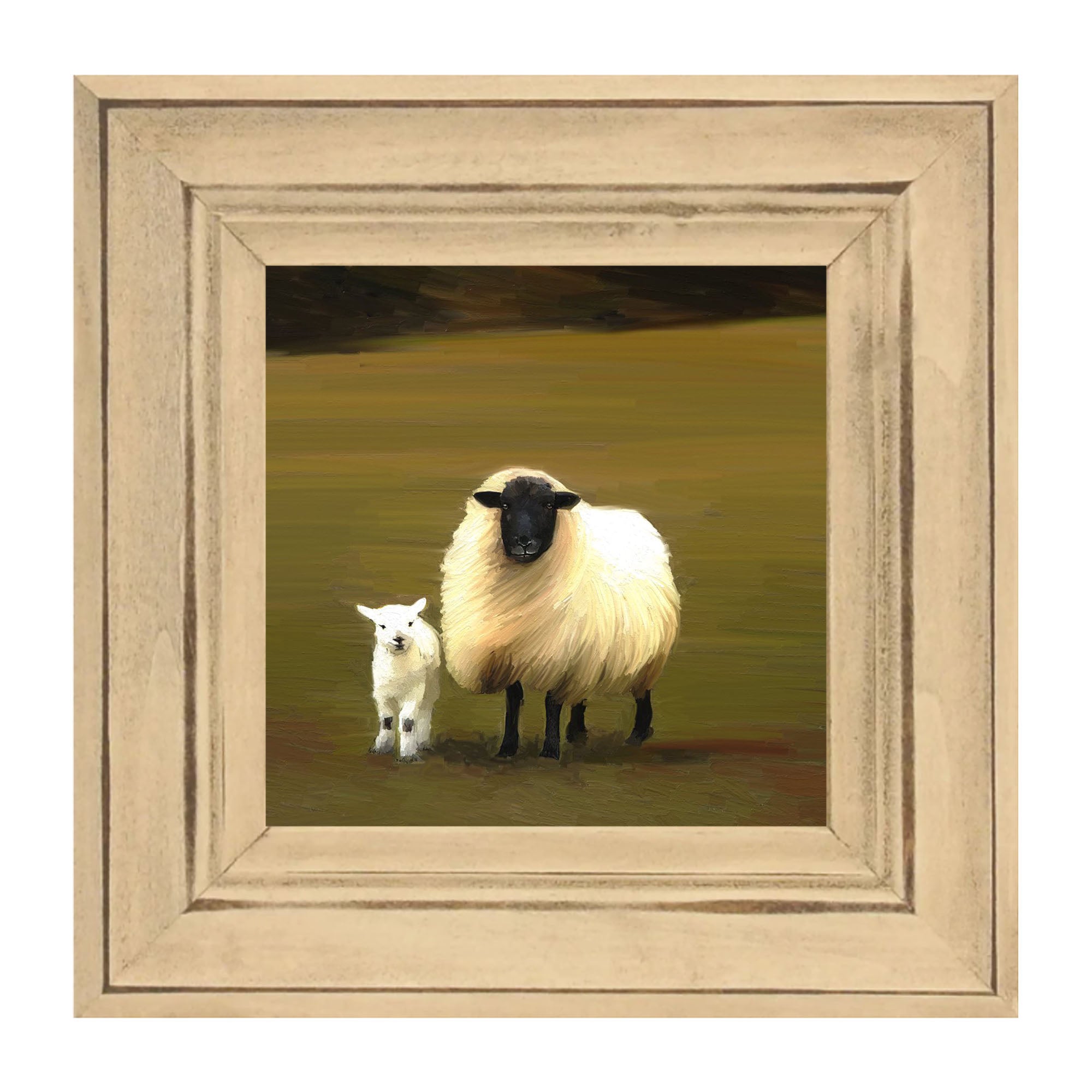 Black faced sheep and lamb