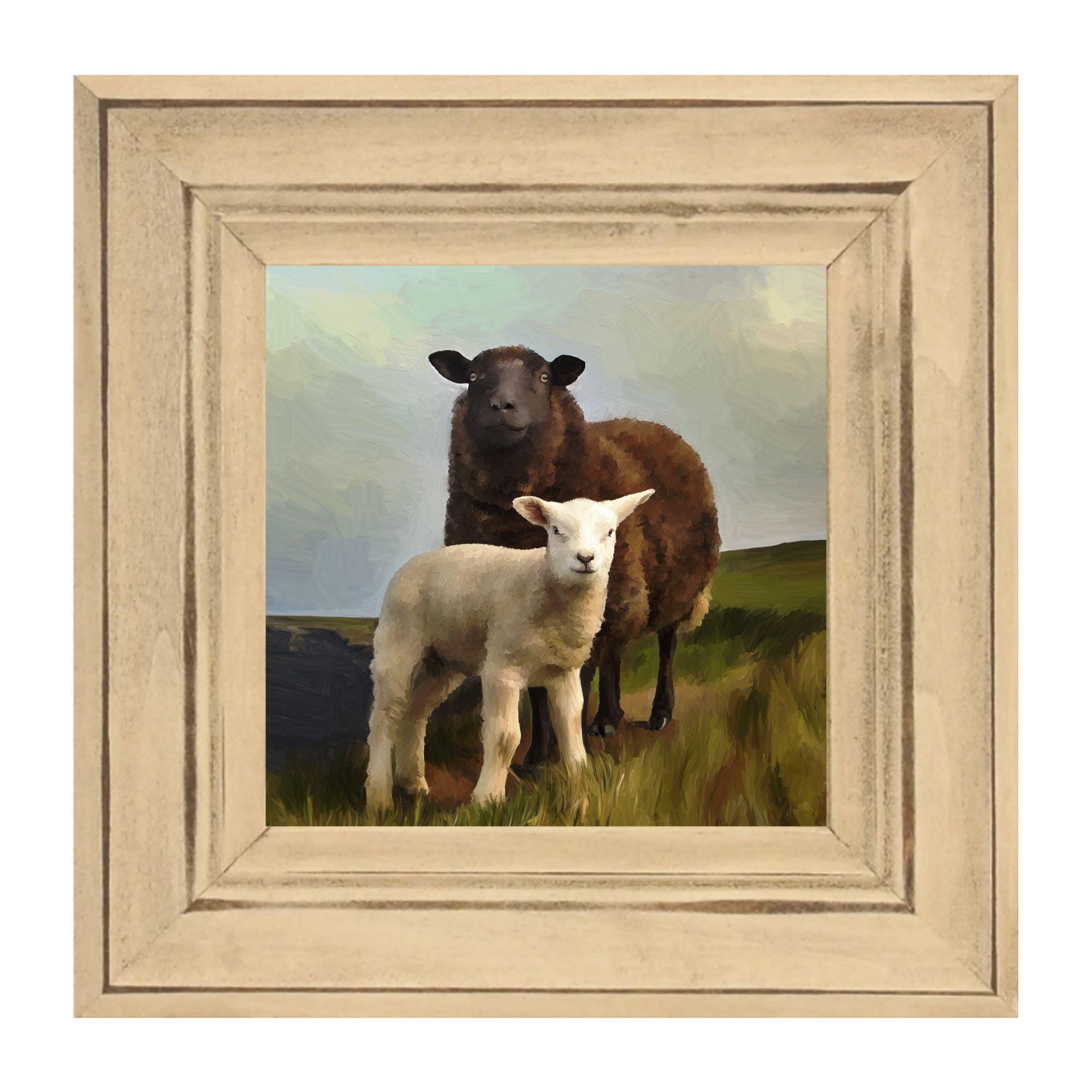 Two Sheep