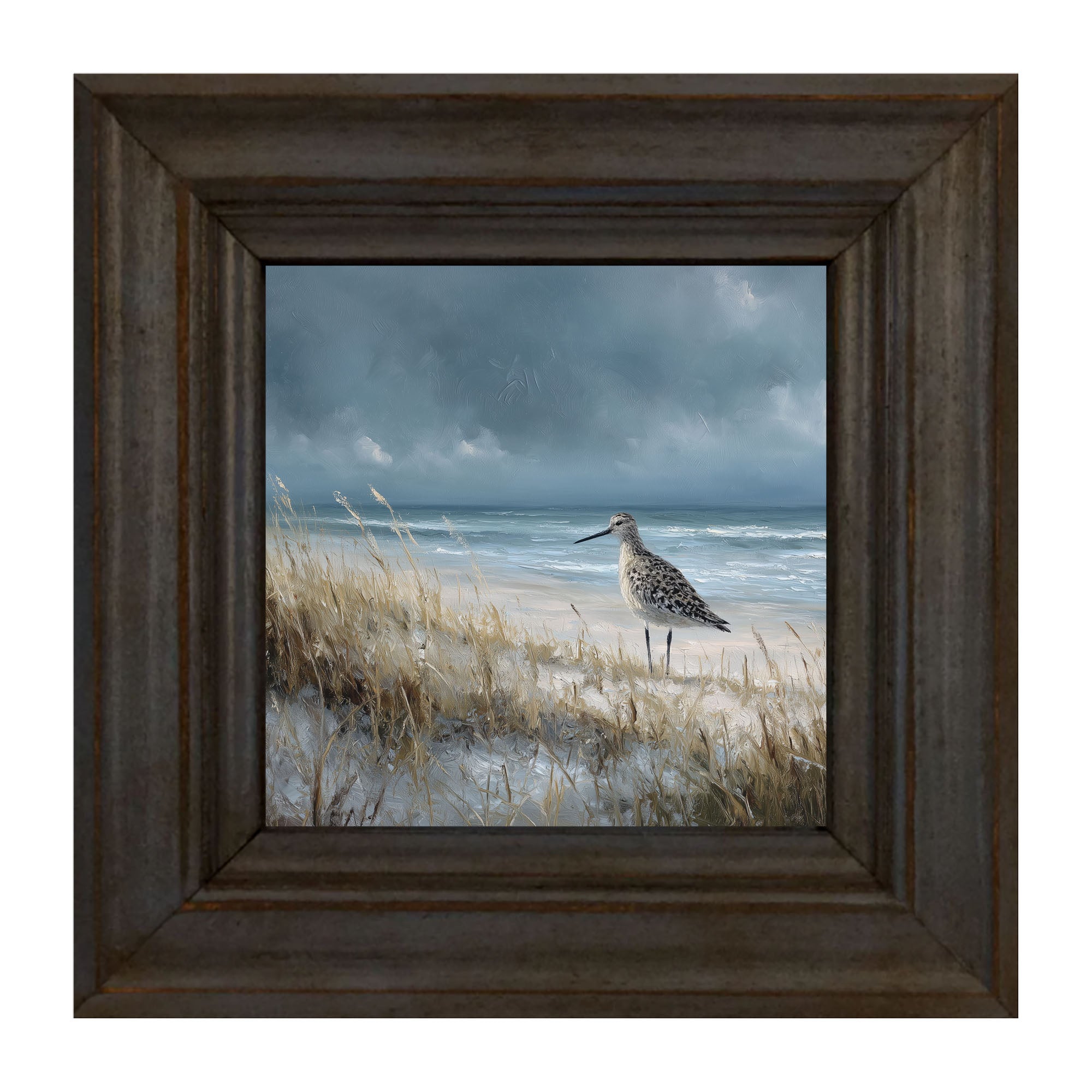 Ocean Island - Bird on Beach