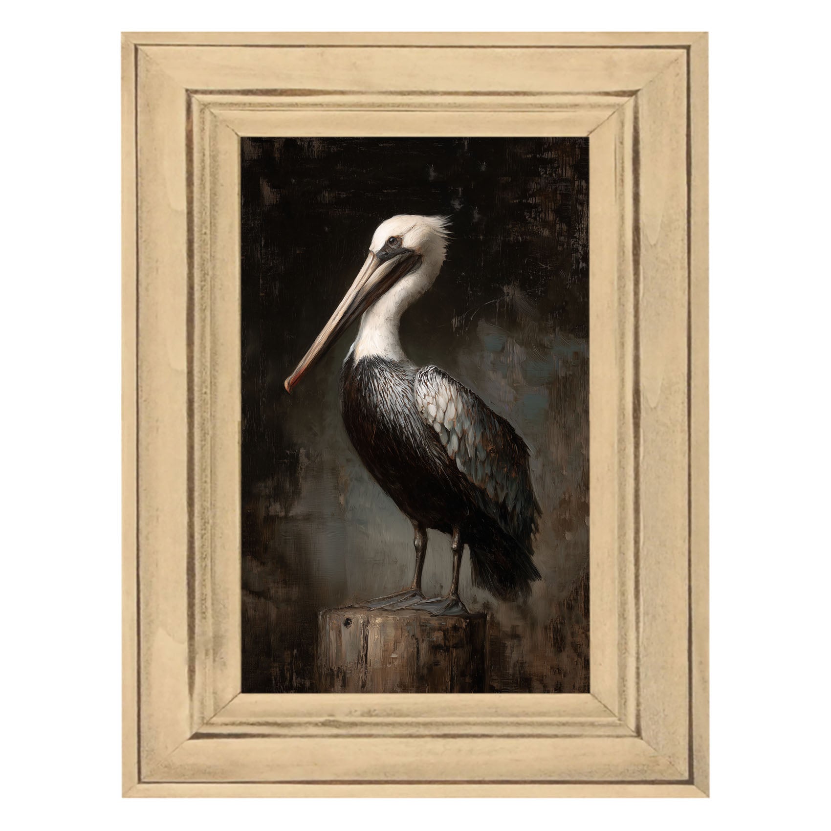 Beach Bird - Black and White Pelican