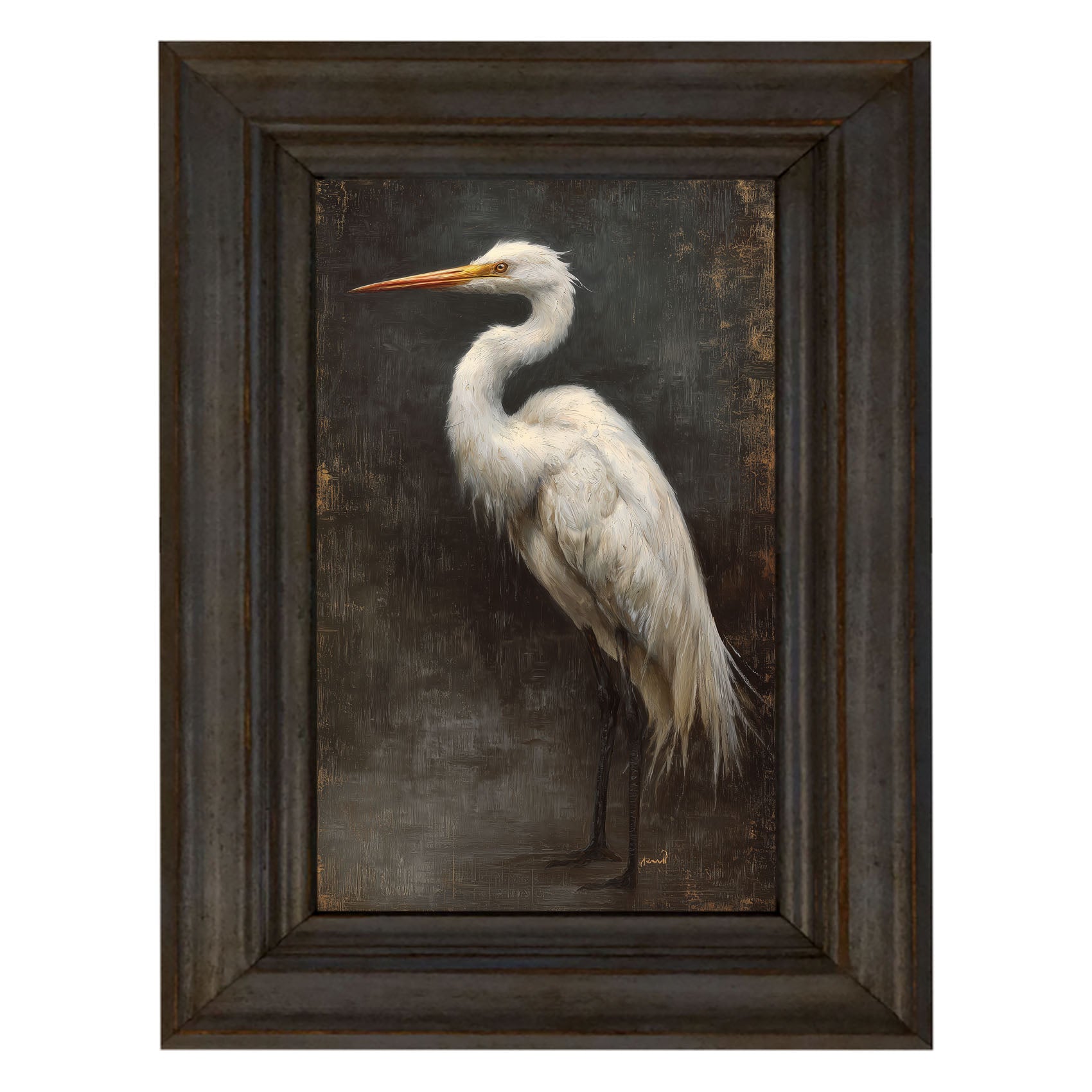 Beach Bird - White Pelican