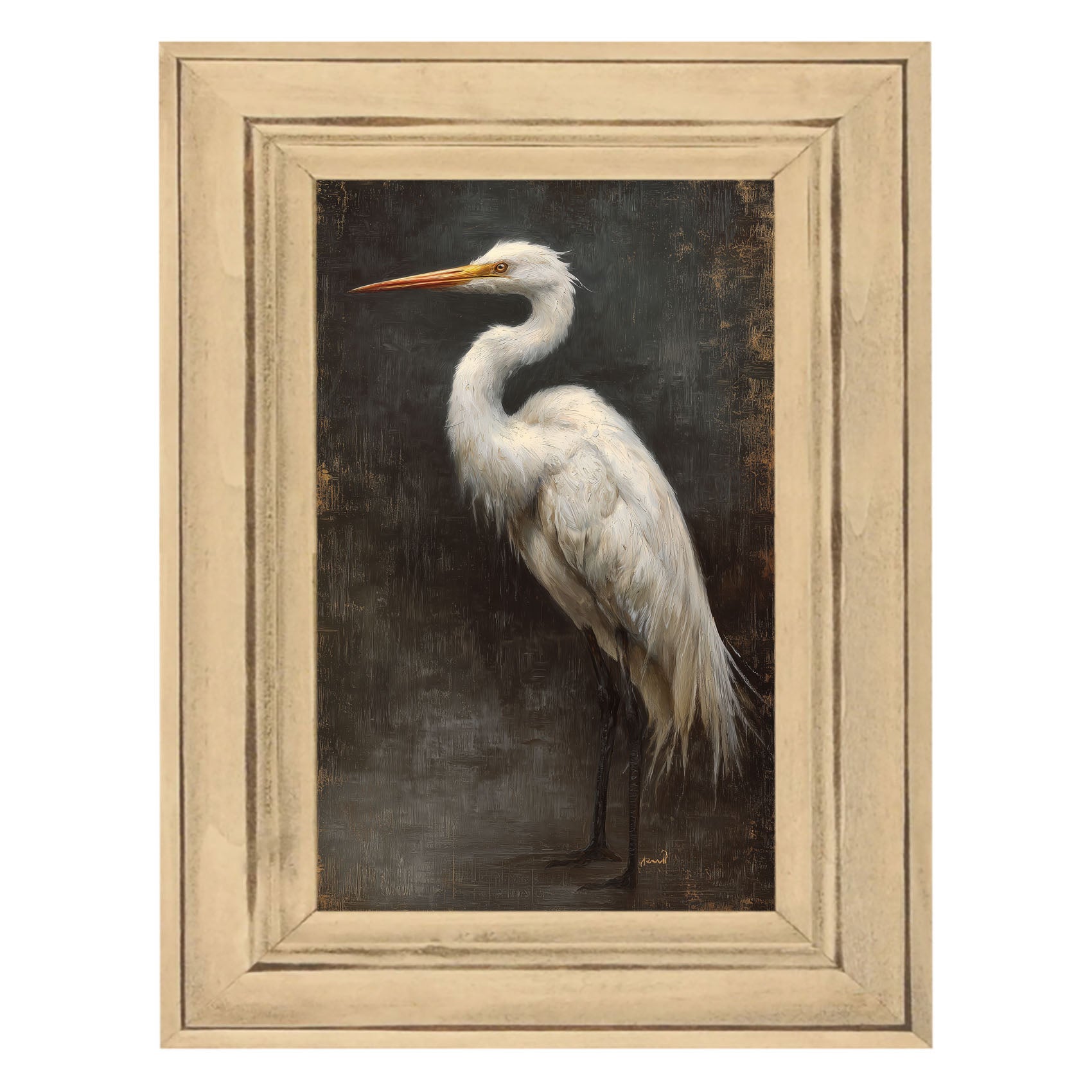 Beach Bird - White Pelican