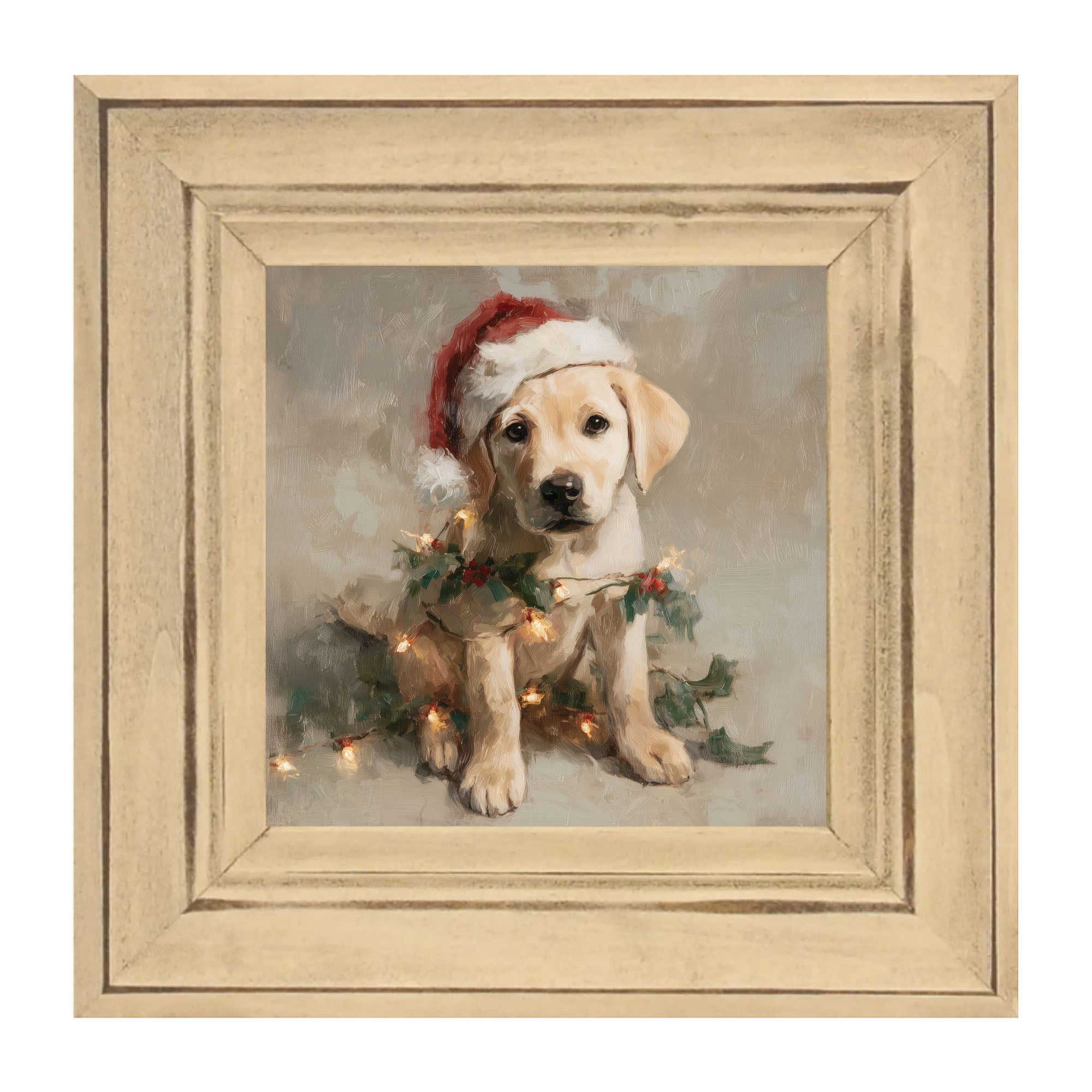 Christmas Lights with Labrador