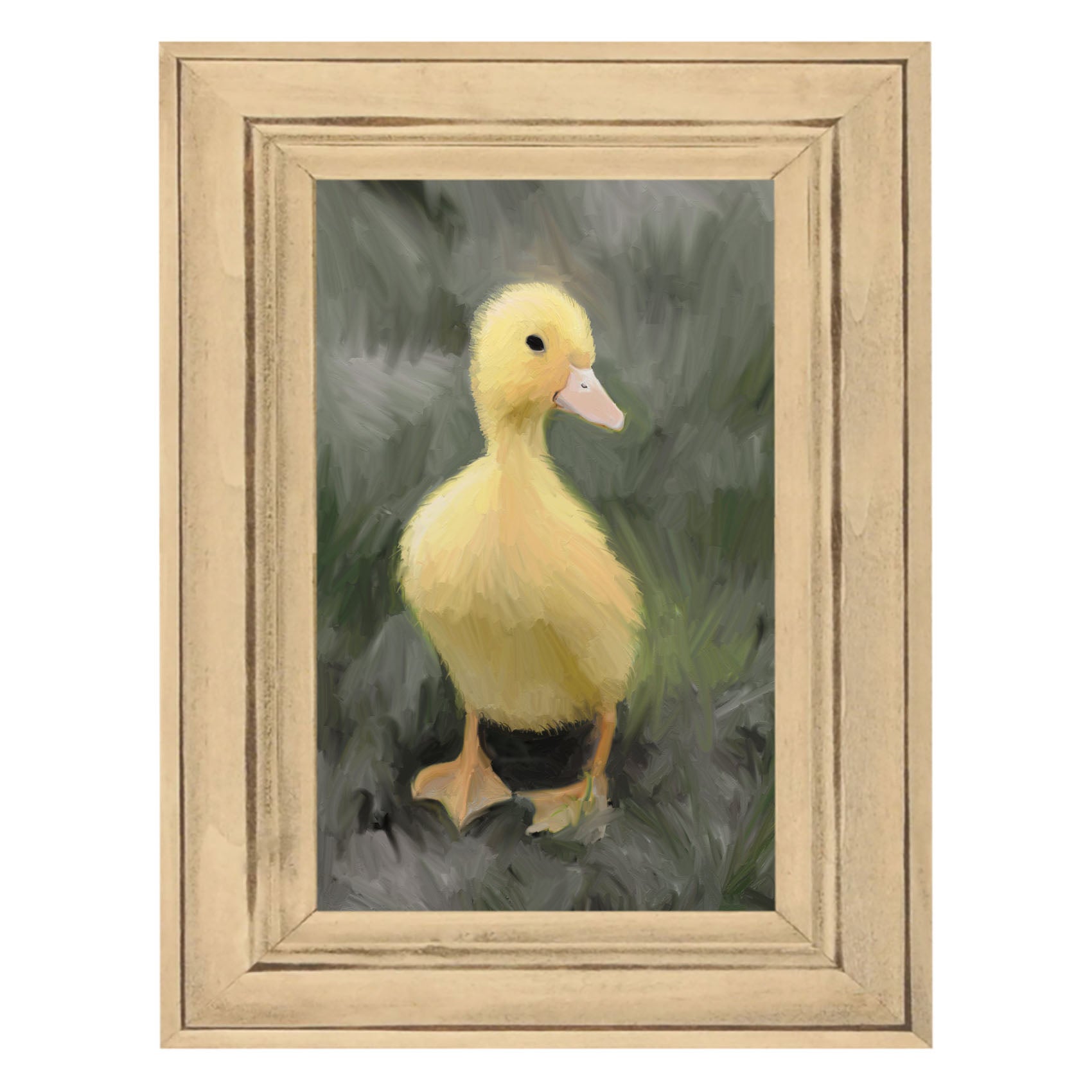 Baby duck