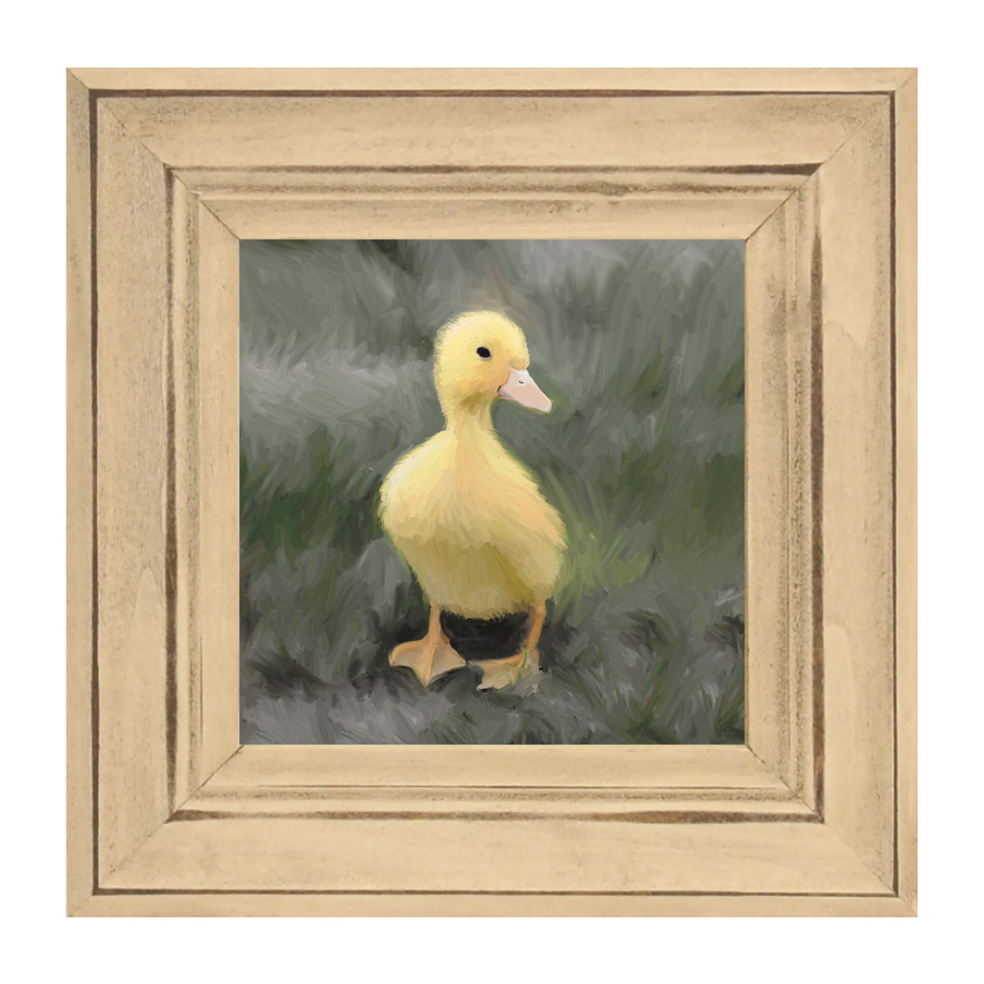 Baby duck