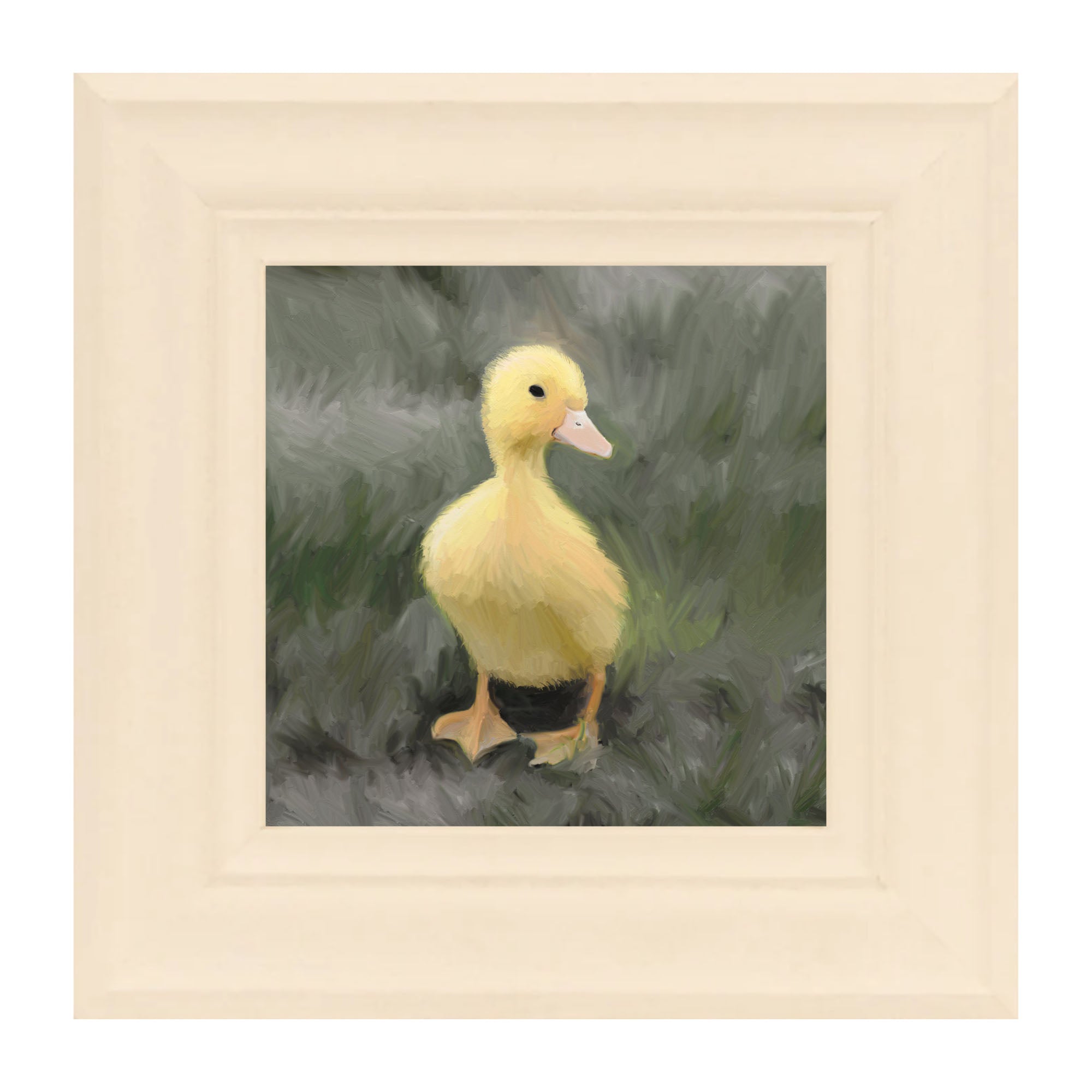 Baby duck