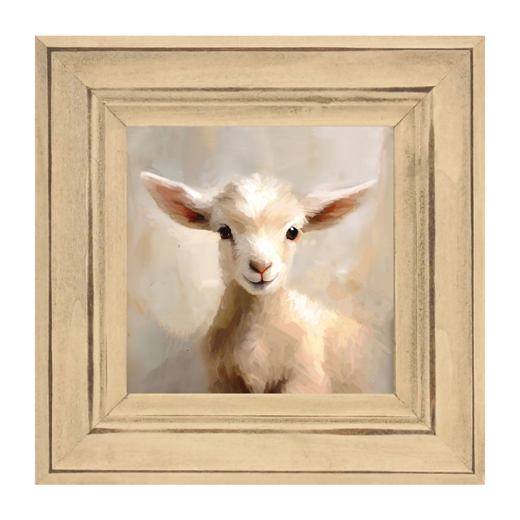 Little Lamb Portrait