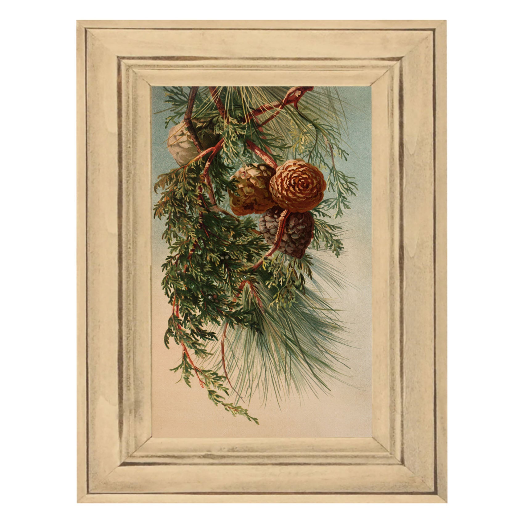 Vintage small pine cones