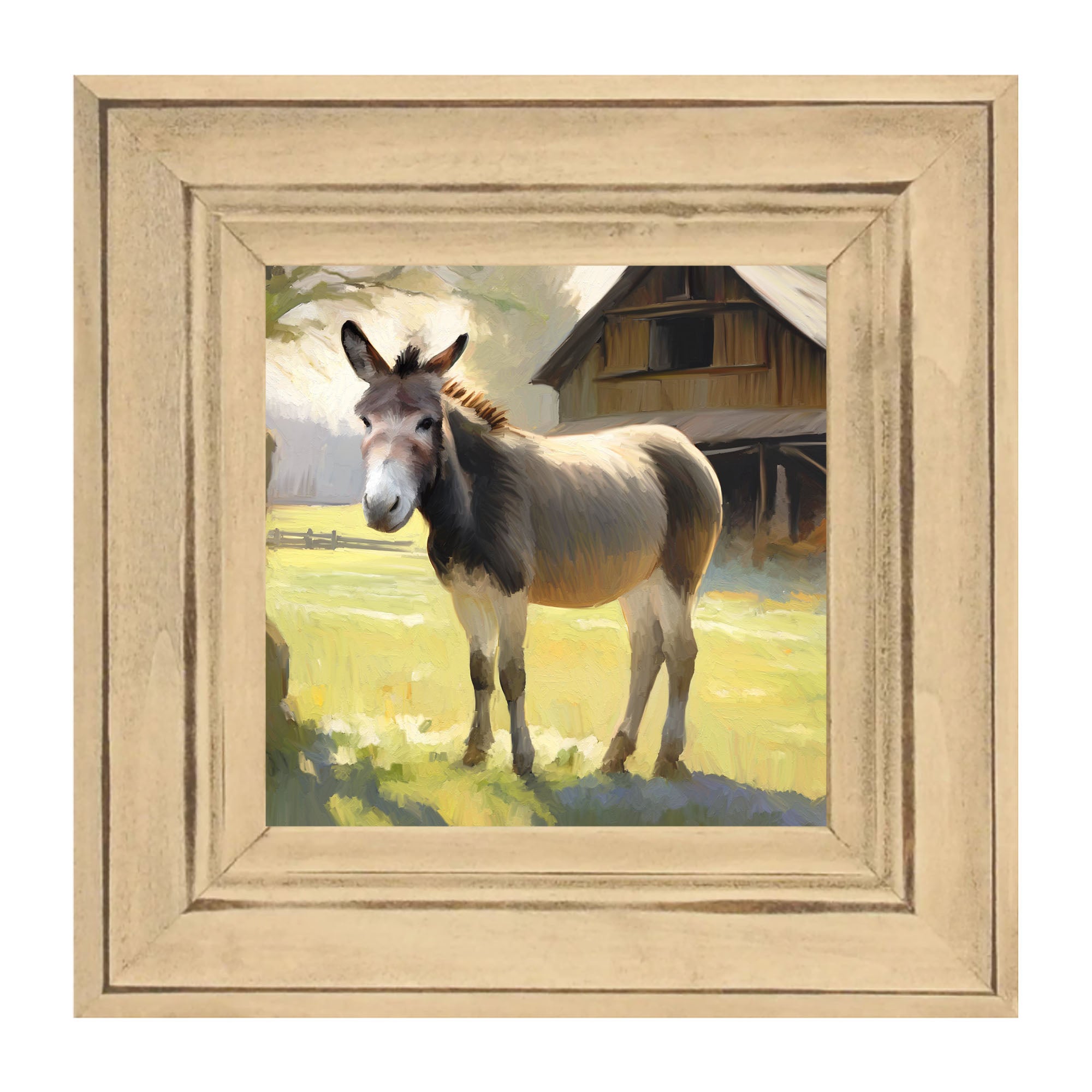 Barn Donkey