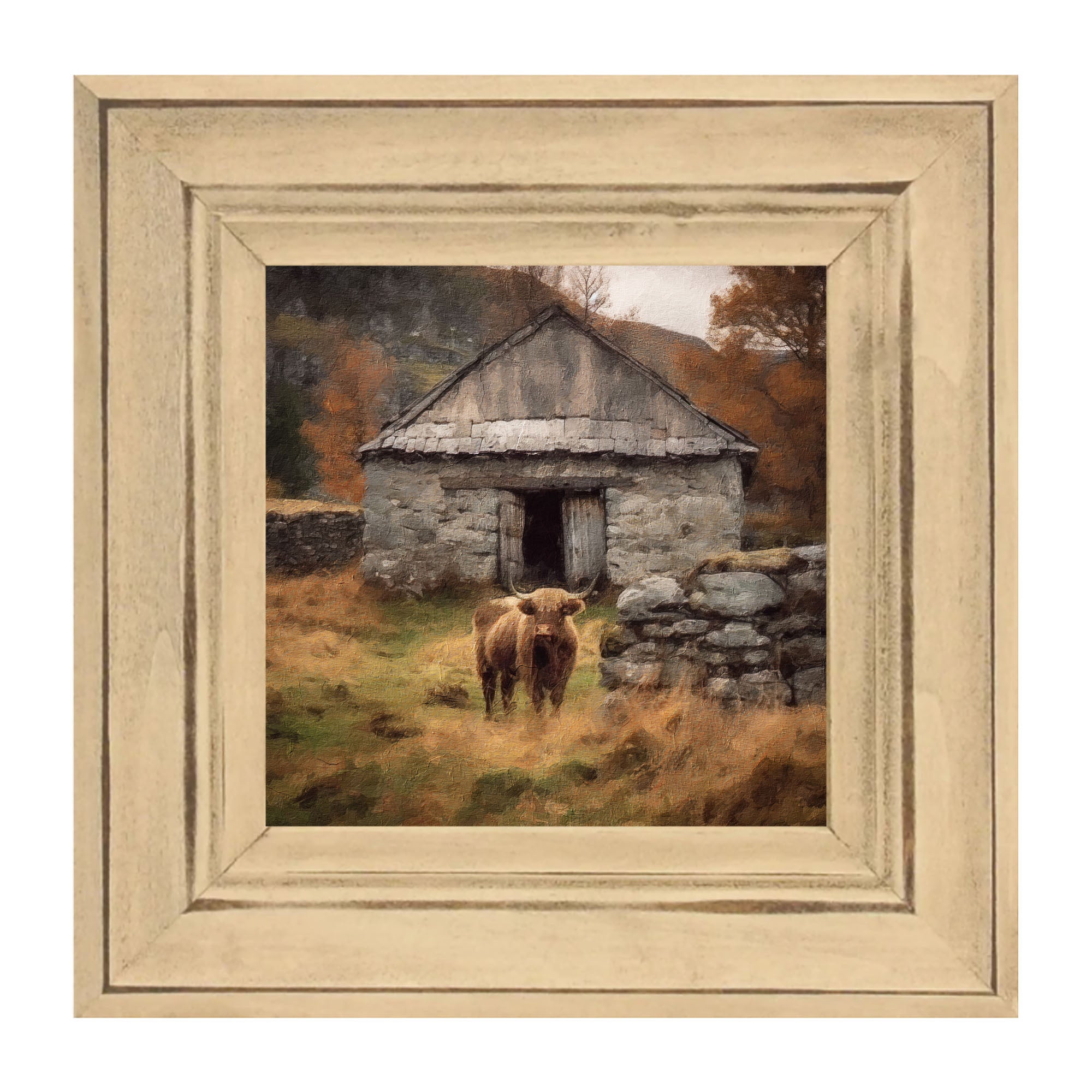 Highland Cow near Stone Wall