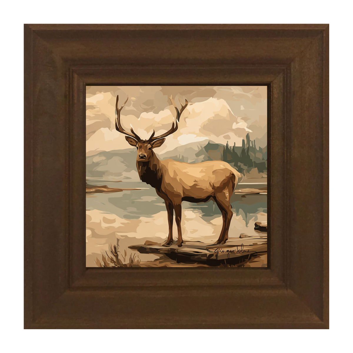 Adirondack Elk